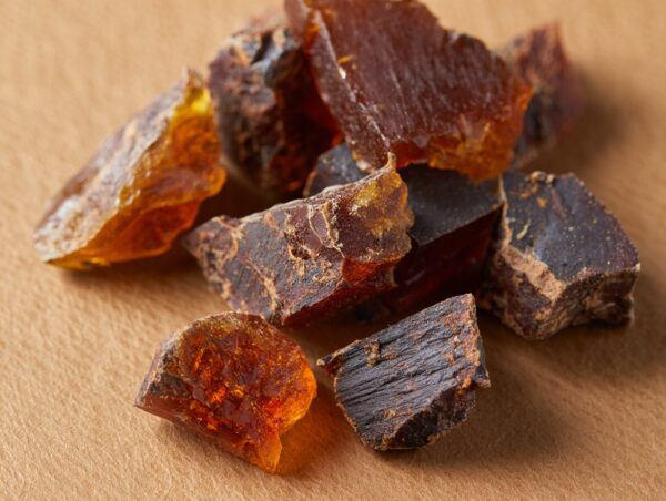 Sumatra Benzoin - Image 2