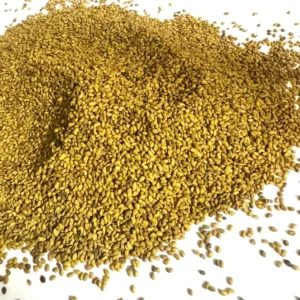 Alfalfa Seeds Exporter