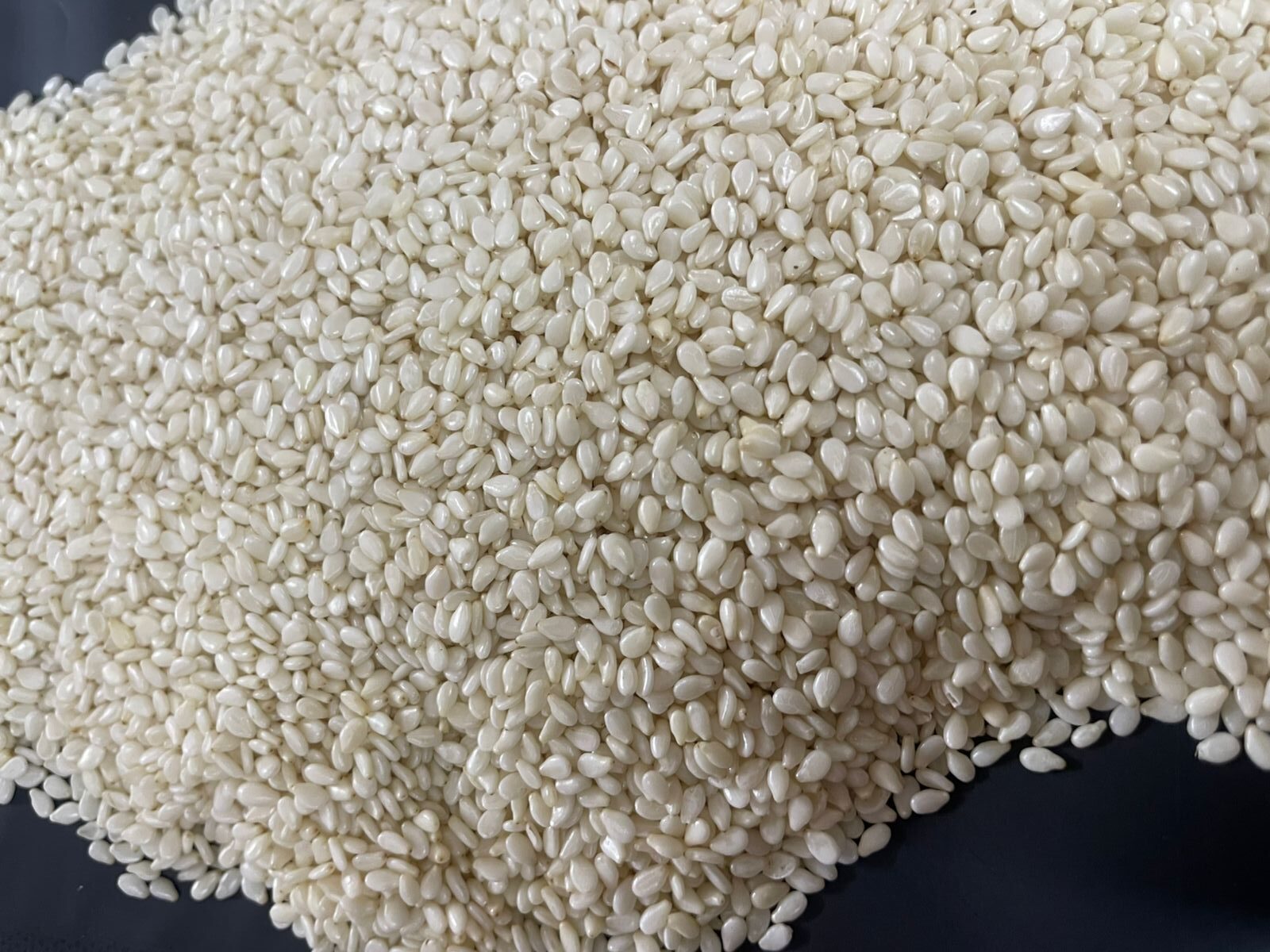 Sesame seeds exporter