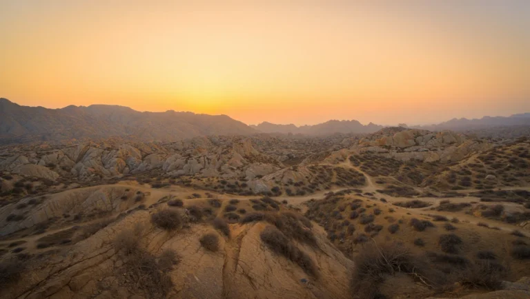 THe journey of ephedra