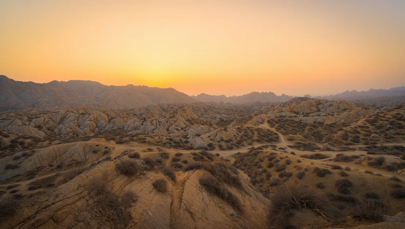 THe journey of ephedra