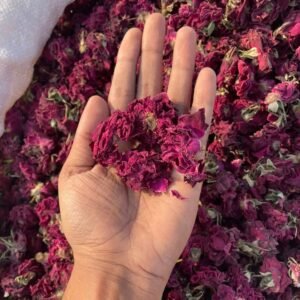 Dry red rose exporter