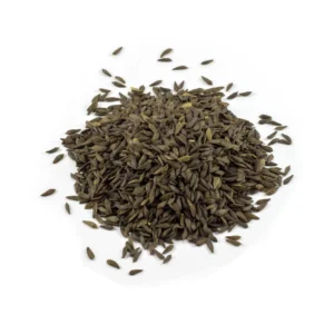 Premium iceberg lettuce seeds for bulk export from trusted Pakistan seed exporter Harmain Global with high germination guarantee