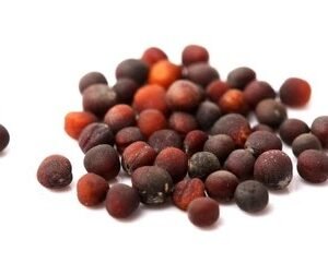 Premium Cabbage seeds for bulk export from trusted Pakistan seed exporter Harmain Global with high germination guarantee