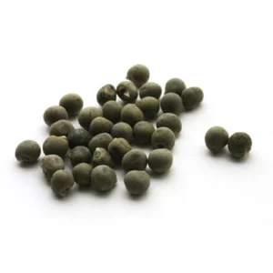 Premium lady finger seeds for bulk export with 90% germination from certified Pakistan ladyfinger seeds exporter Harmain Global