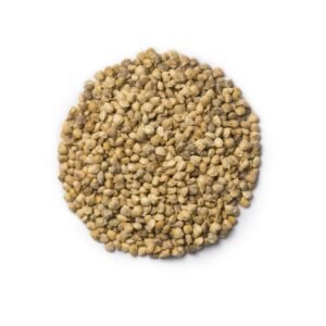 Premium spinach seeds for bulk export with 90% germination from certified Pakistan spinach seeds exporter Harmain Global