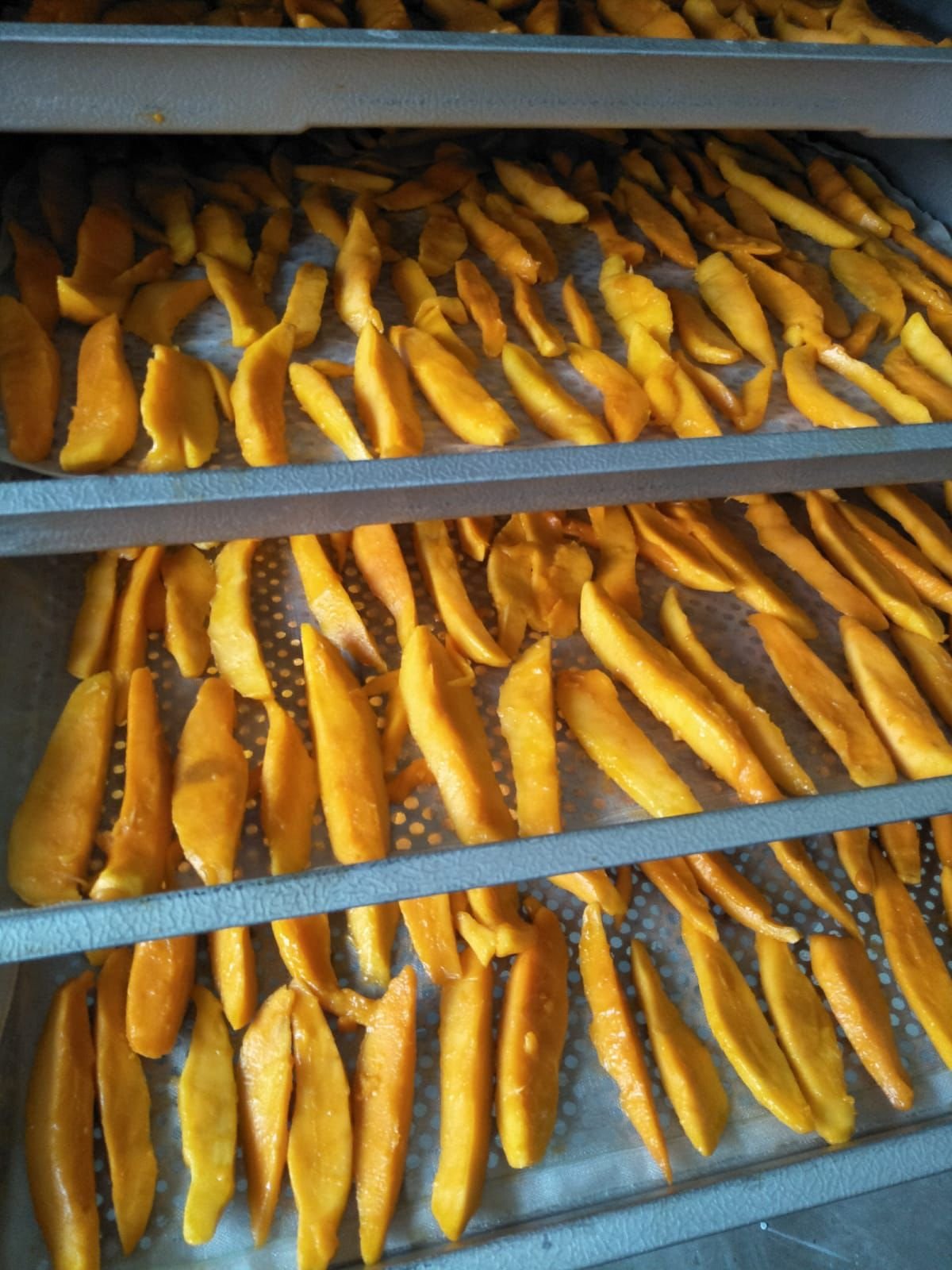 premium organic dried mango