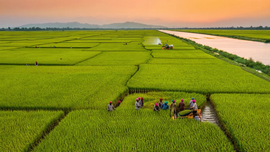 Harmain Global Imports And Exports