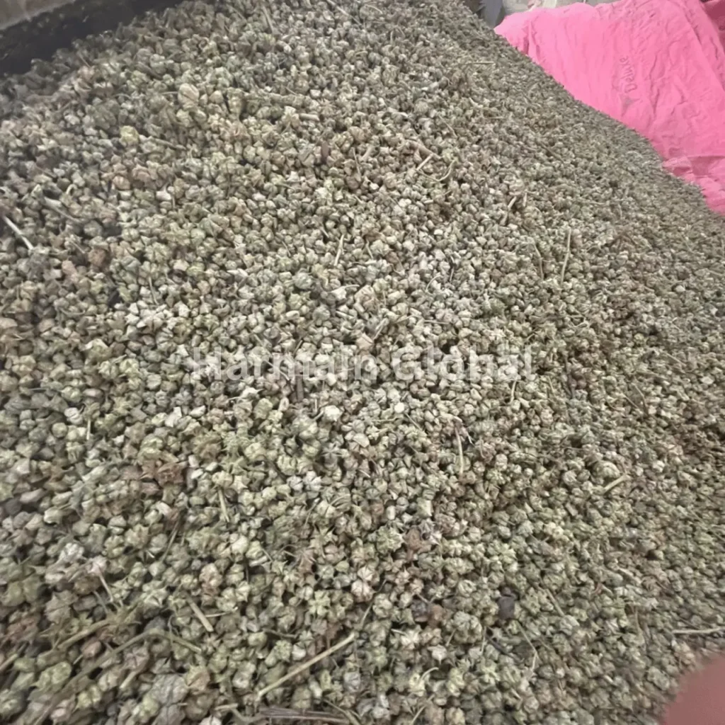 Premium quality caltrops exported