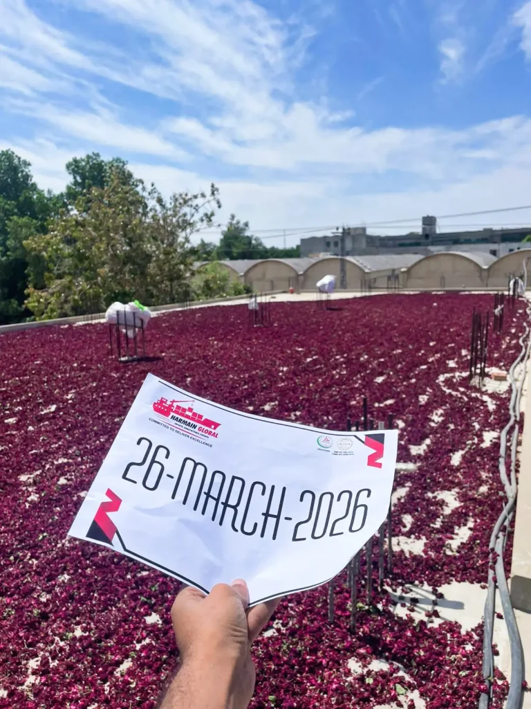 Dry Red Rose Petals Shipment