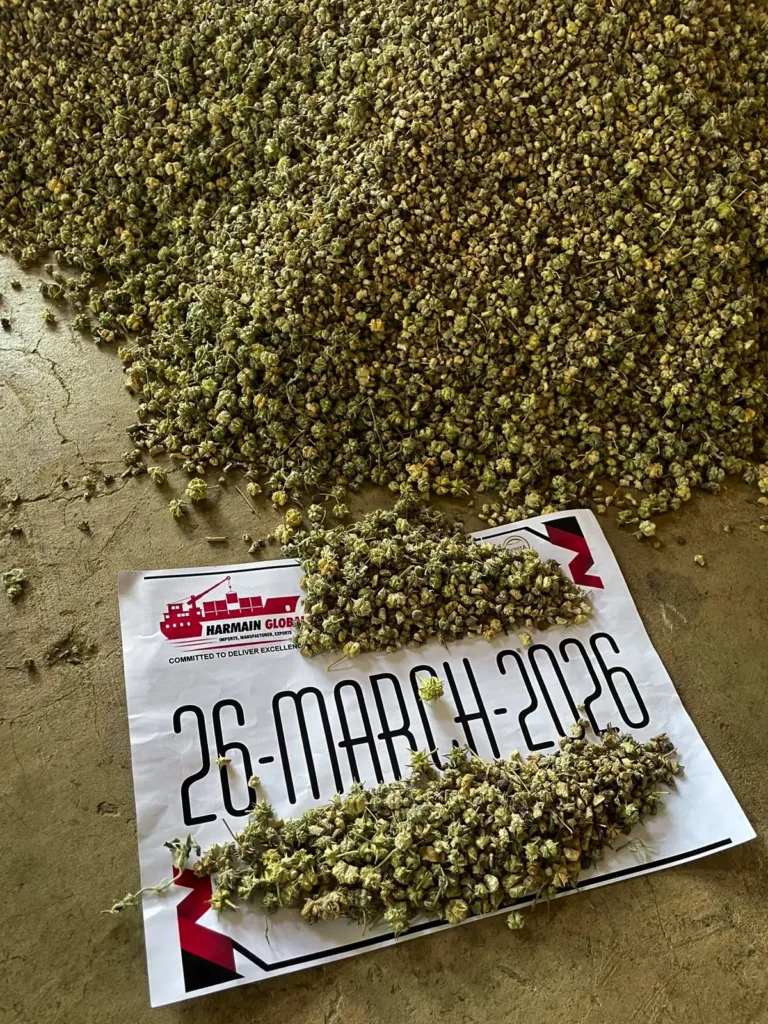Caltrops Shipment 2026