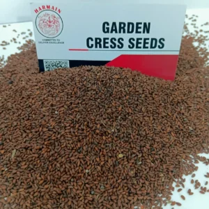 Garden Cress Seeds