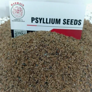 Psyllium Seeds