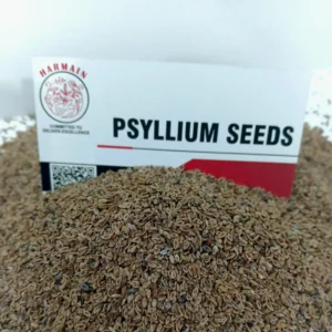 Psyllium Seeds