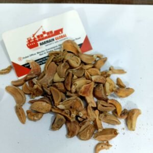 Dehydrated Garlic Clove