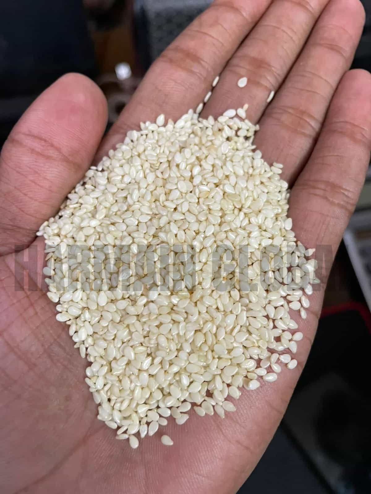 Sesame Seeds Hulled