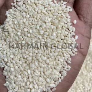Sesame Seeds New Crop 2026
