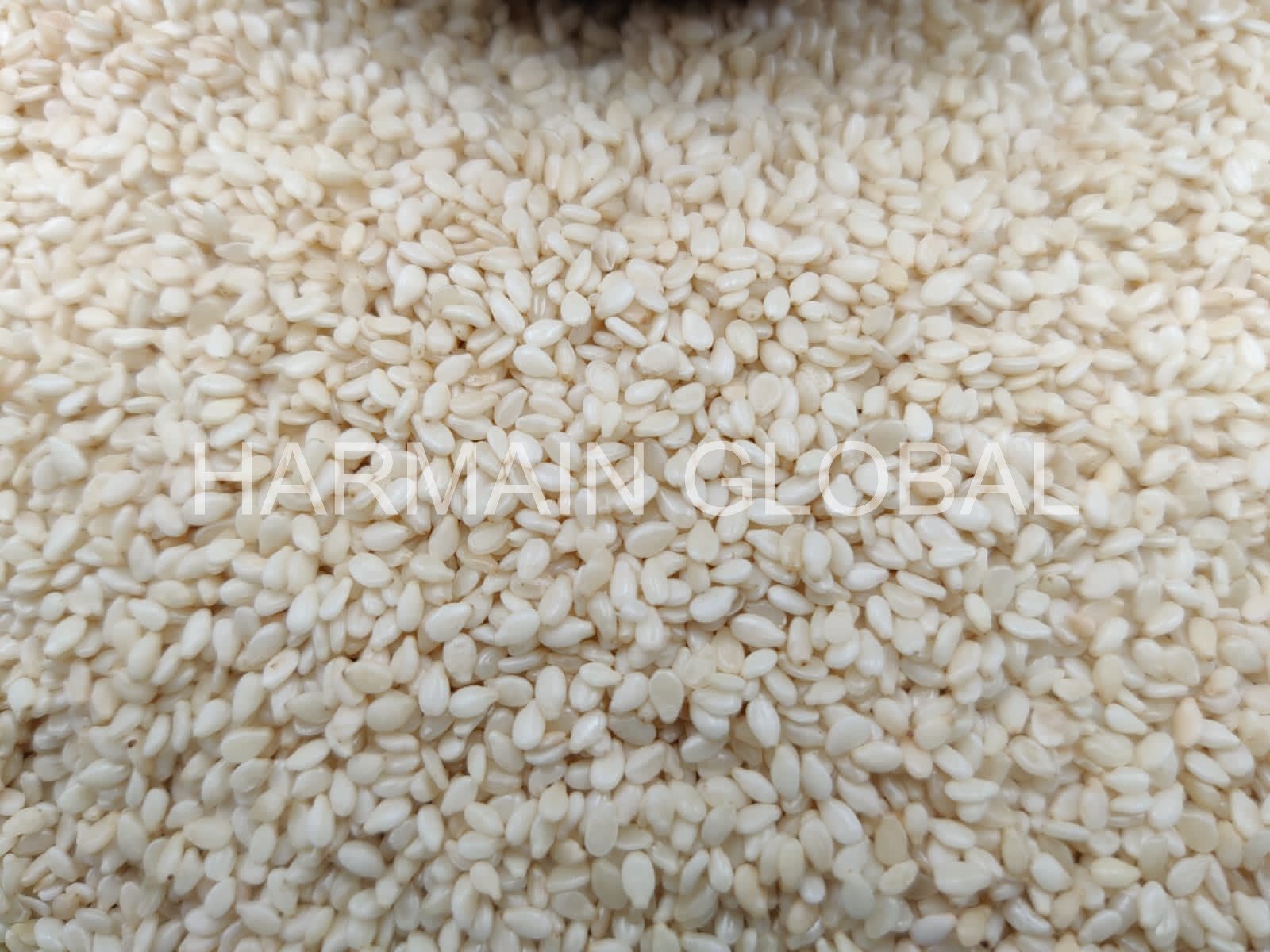 Sesame Seeds