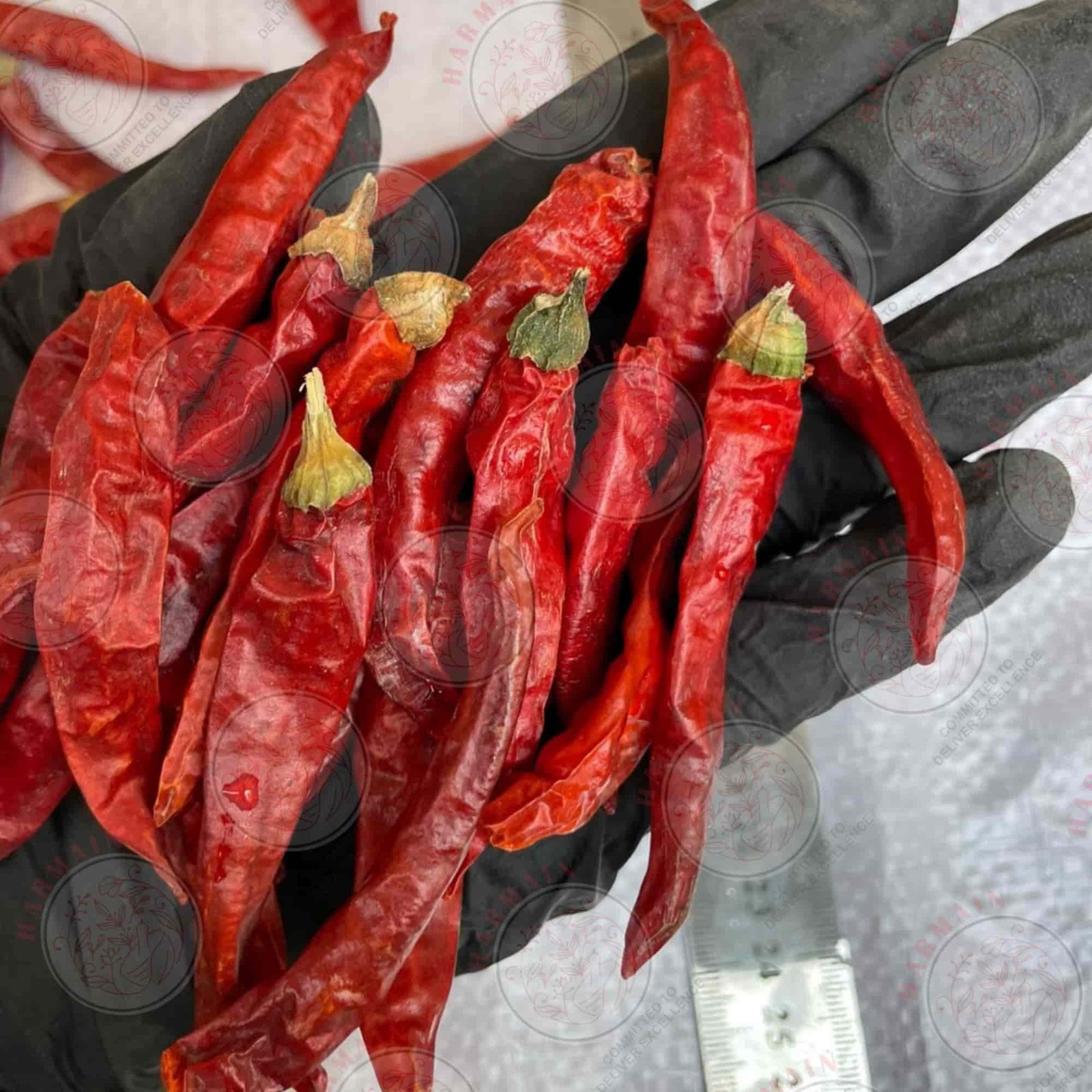 Dry Red Chilli Long