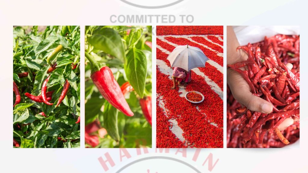 Harmain Global Imports And Exports