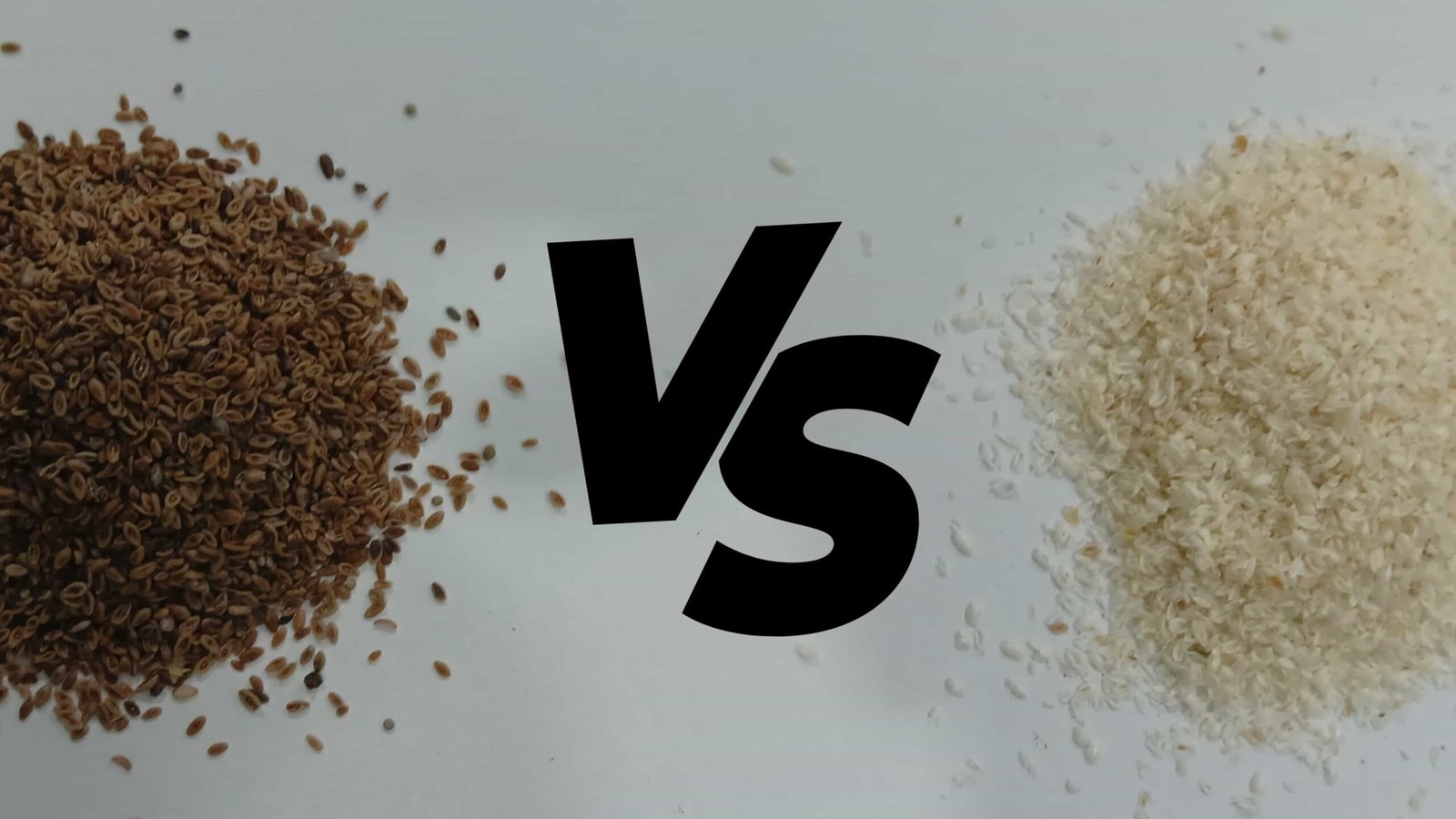 Psyllium Husk Vs psyllium seed