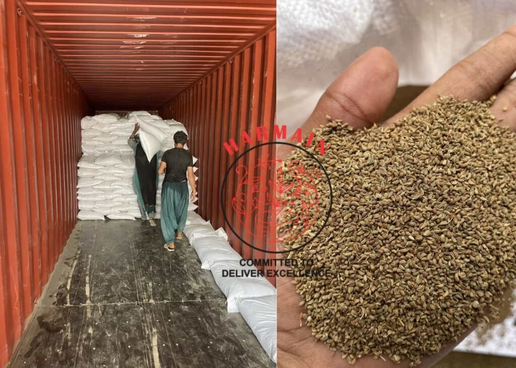 Ajwain (Carom) Seed Shipment