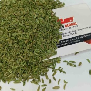Premium Quality Green Fennel