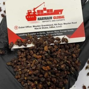 Export Quality Dried Organic Sea Buckthorn Berries