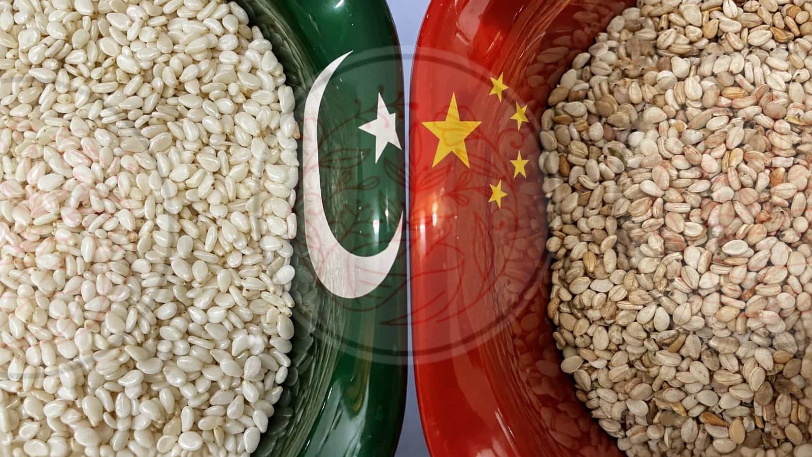 Pakistani Sesame Seeds Export to china