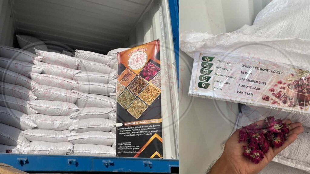 Dried Rose Flower Shipment