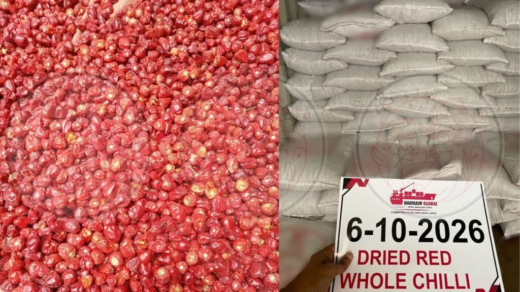 Whole dried red chilli shipment